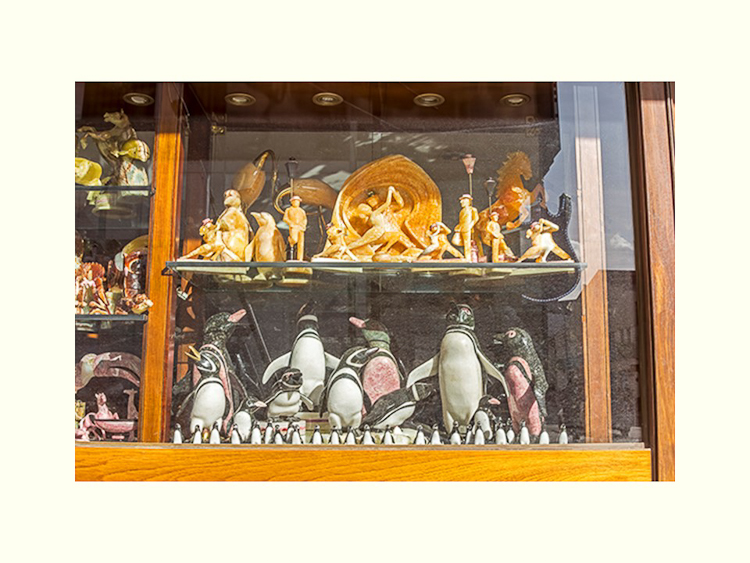 All Images By Ron MacDonnell Roberts.  © 2023.  All Rights Reserved.