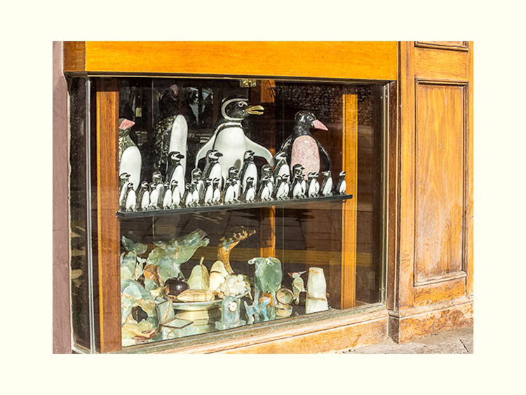 All Images By Ron MacDonnell Roberts.  © 2023.  All Rights Reserved.