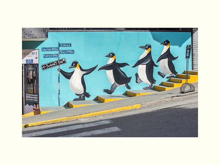 All Images By Ron MacDonnell Roberts.  © 2023.  All Rights Reserved.