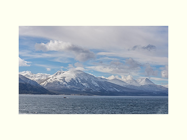 All Images By Ron MacDonnell Roberts.  © 2023.  All Rights Reserved.