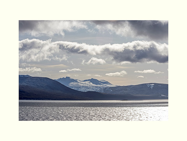 All Images By Ron MacDonnell Roberts.  © 2023.  All Rights Reserved.