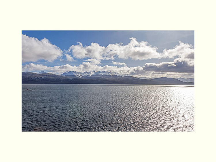 All Images By Ron MacDonnell Roberts.  © 2023.  All Rights Reserved.