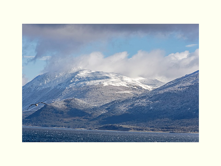 All Images By Ron MacDonnell Roberts.  © 2023.  All Rights Reserved.