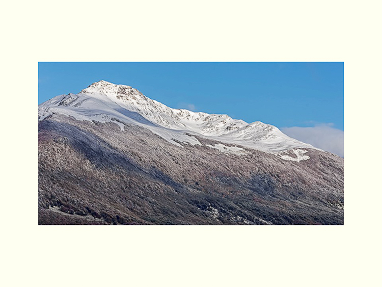 All Images By Ron MacDonnell Roberts.  © 2023.  All Rights Reserved.