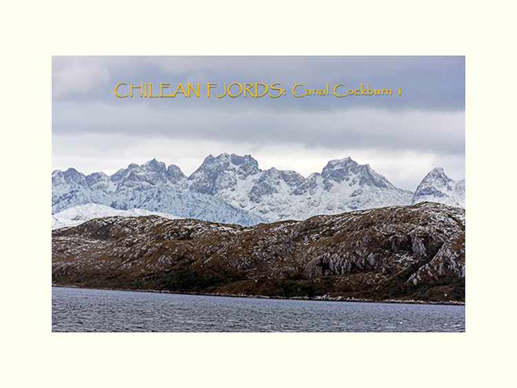 All Images By Ron MacDonnell Roberts.  © 2023.  All Rights Reserved.