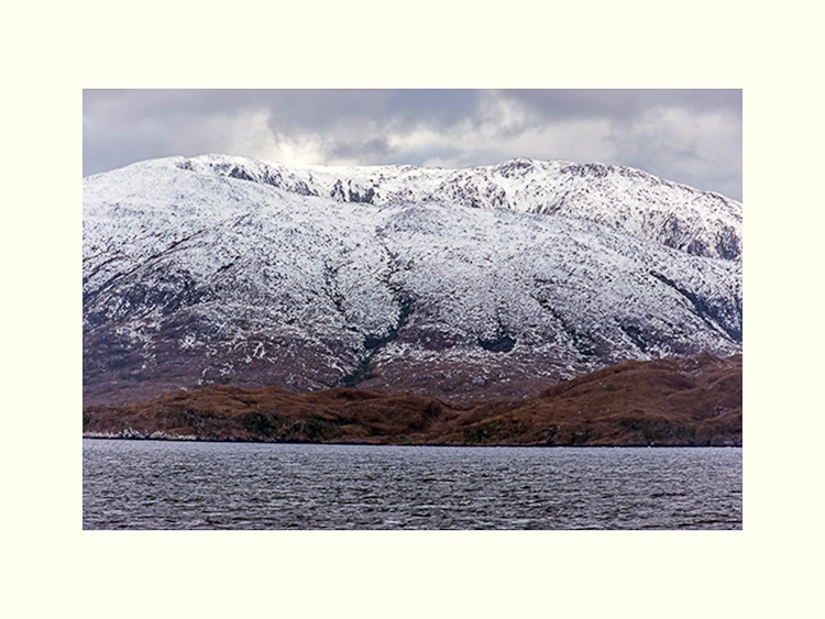 All Images By Ron MacDonnell Roberts.  © 2023.  All Rights Reserved.