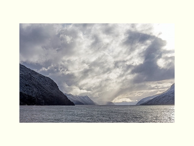 All Images By Ron MacDonnell Roberts.  © 2023.  All Rights Reserved.
