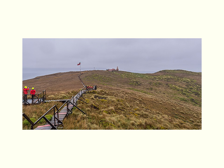 All Images By Ron MacDonnell Roberts.  © 2023.  All Rights Reserved.