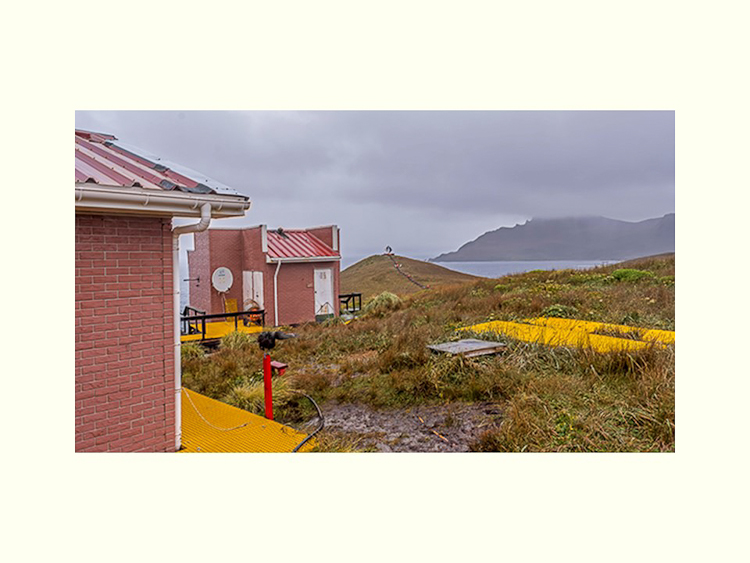 All Images By Ron MacDonnell Roberts.  © 2023.  All Rights Reserved.