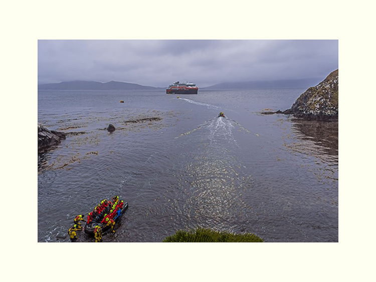 All Images By Ron MacDonnell Roberts.  © 2023.  All Rights Reserved.