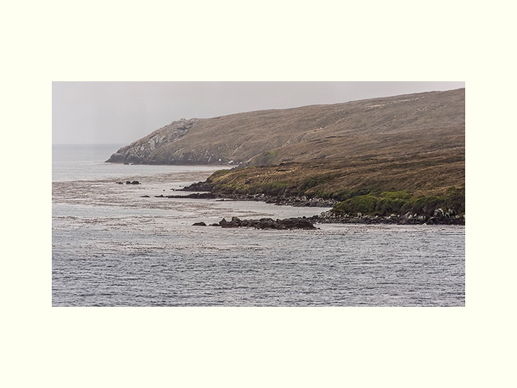 All Images By Ron MacDonnell Roberts.  © 2023.  All Rights Reserved.