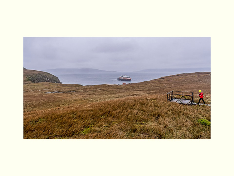 All Images By Ron MacDonnell Roberts.  © 2023.  All Rights Reserved.