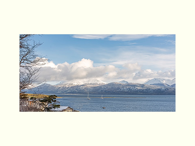 All Images By Ron MacDonnell Roberts.  © 2023.  All Rights Reserved.