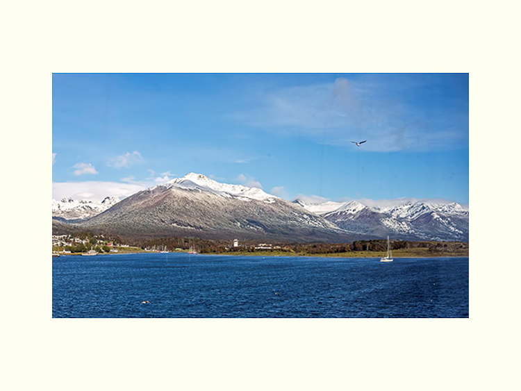 All Images By Ron MacDonnell Roberts.  © 2023.  All Rights Reserved.