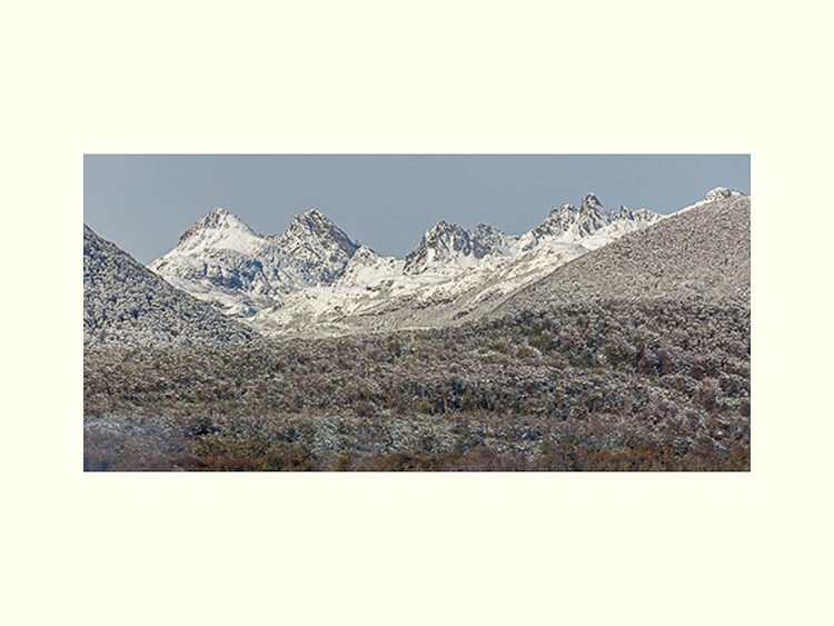 All Images By Ron MacDonnell Roberts.  © 2023.  All Rights Reserved.