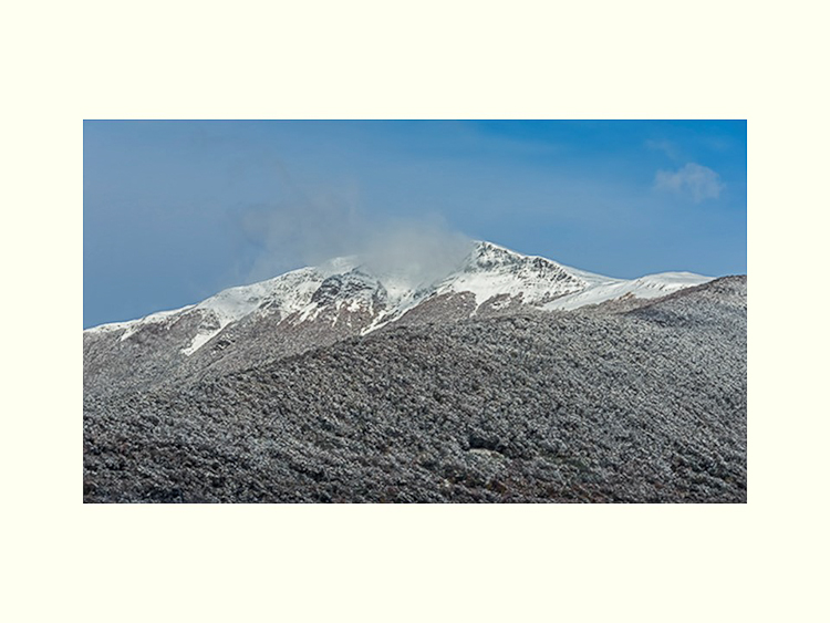 All Images By Ron MacDonnell Roberts.  © 2023.  All Rights Reserved.