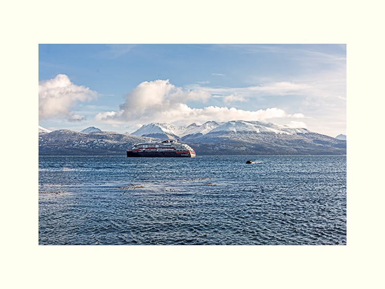 All Images By Ron MacDonnell Roberts.  © 2023.  All Rights Reserved.