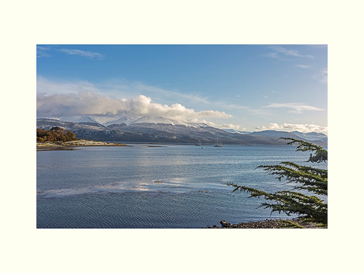 All Images By Ron MacDonnell Roberts.  © 2023.  All Rights Reserved.