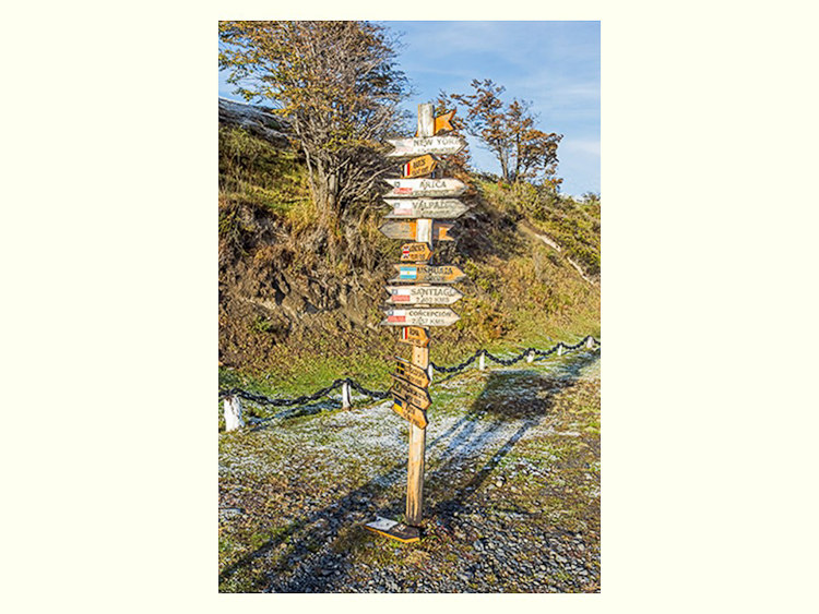 All Images By Ron MacDonnell Roberts.  © 2023.  All Rights Reserved.