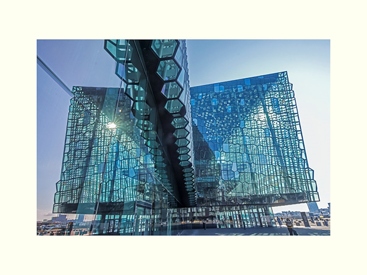 All Images By Ron MacDonnell Roberts.  © 2023.  All Rights Reserved.