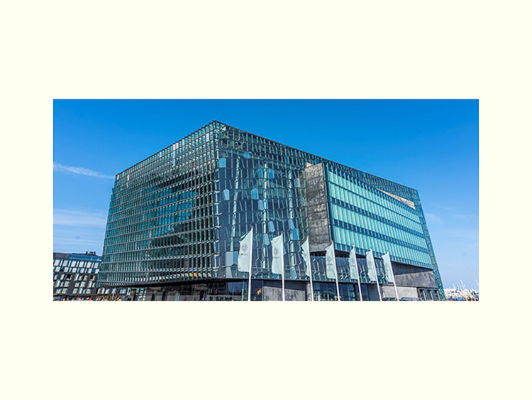 All Images By Ron MacDonnell Roberts.  © 2023.  All Rights Reserved.