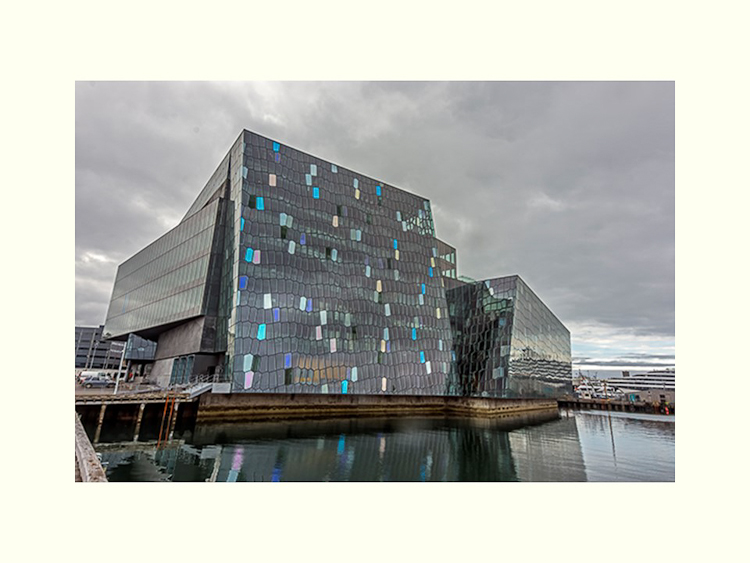 All Images By Ron MacDonnell Roberts.  © 2023.  All Rights Reserved.