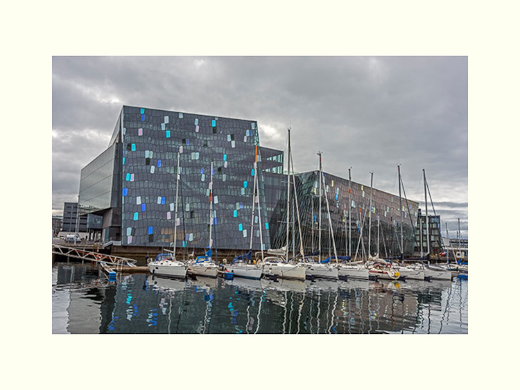 All Images By Ron MacDonnell Roberts.  © 2023.  All Rights Reserved.