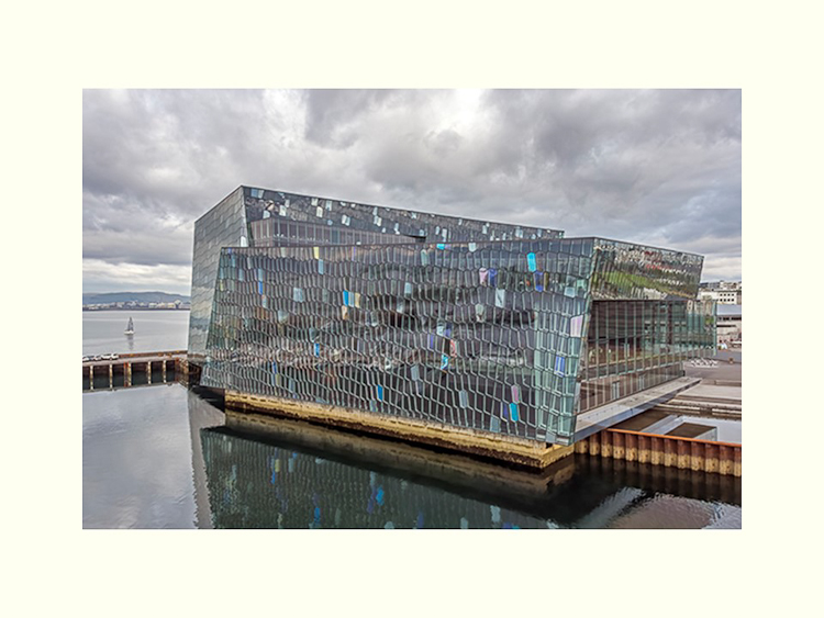 All Images By Ron MacDonnell Roberts.  © 2023.  All Rights Reserved.