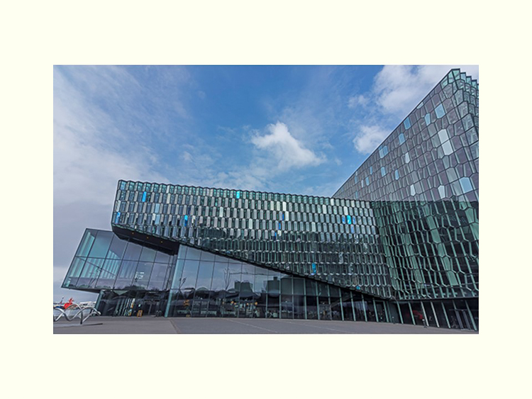 All Images By Ron MacDonnell Roberts.  © 2023.  All Rights Reserved.