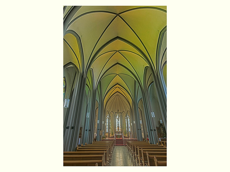 All Images By Ron MacDonnell Roberts.  © 2023.  All Rights Reserved.