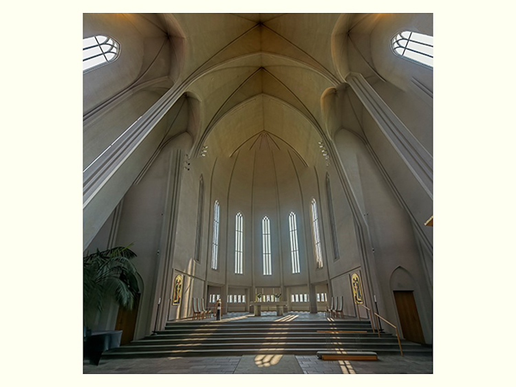 All Images By Ron MacDonnell Roberts.  © 2023.  All Rights Reserved.