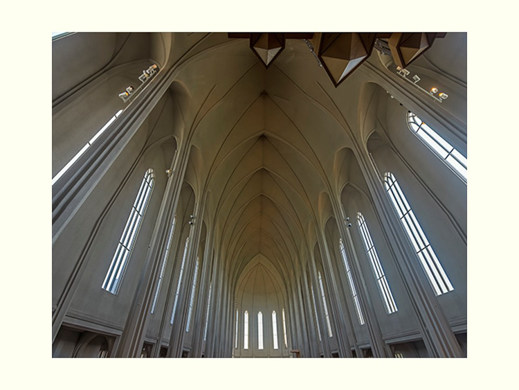 All Images By Ron MacDonnell Roberts.  © 2023.  All Rights Reserved.