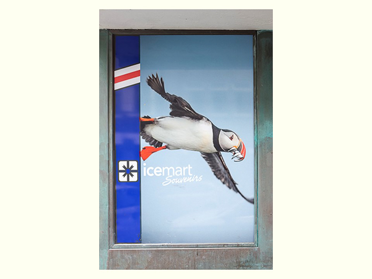 All Images By Ron MacDonnell Roberts.  © 2023.  All Rights Reserved.