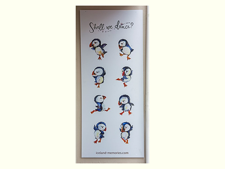 All Images By Ron MacDonnell Roberts.  © 2023.  All Rights Reserved.