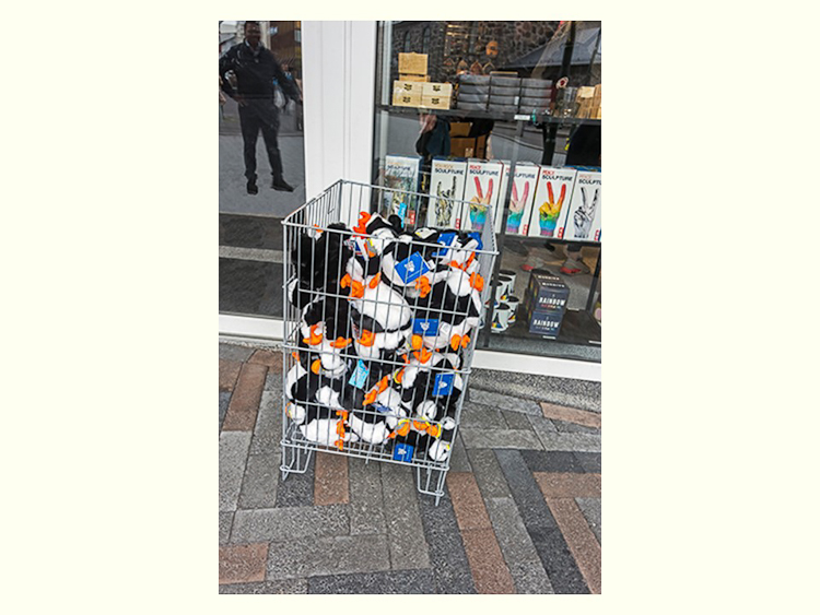 All Images By Ron MacDonnell Roberts.  © 2023.  All Rights Reserved.