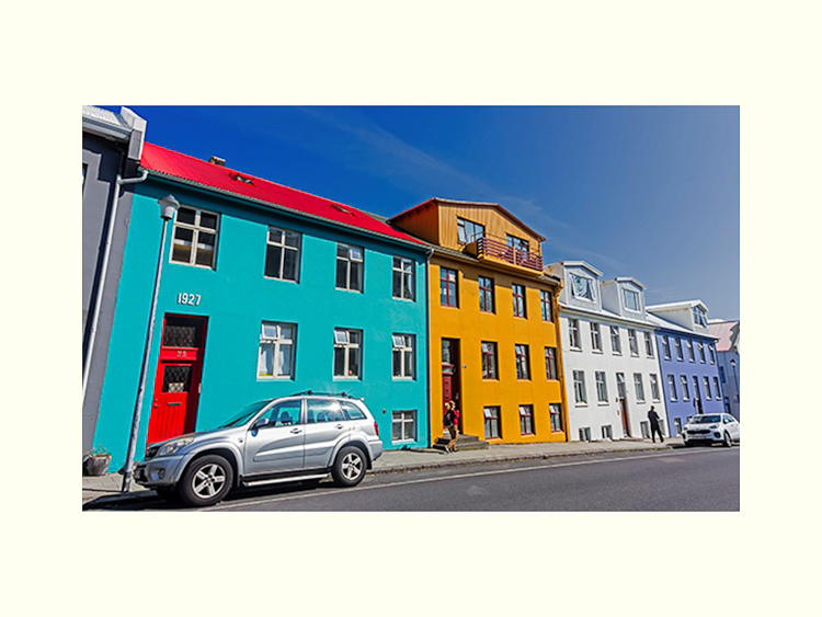 All Images By Ron MacDonnell Roberts.  © 2023.  All Rights Reserved.