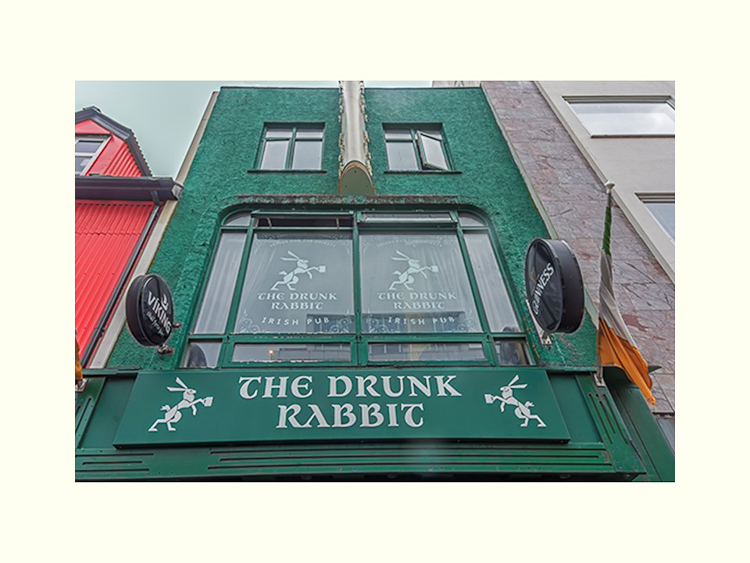 All Images By Ron MacDonnell Roberts.  © 2023.  All Rights Reserved.