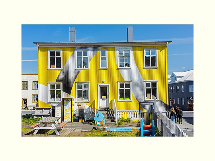 All Images By Ron MacDonnell Roberts.  © 2023.  All Rights Reserved.