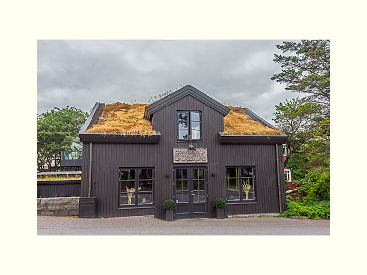 All Images By Ron MacDonnell Roberts.  © 2023.  All Rights Reserved.