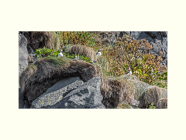 All Images By Ron MacDonnell Roberts.  © 2023.  All Rights Reserved.