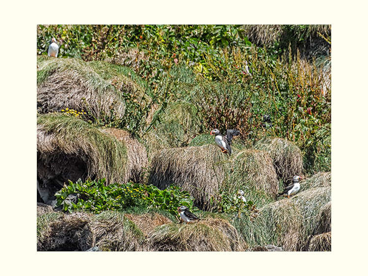 All Images By Ron MacDonnell Roberts.  © 2023.  All Rights Reserved.