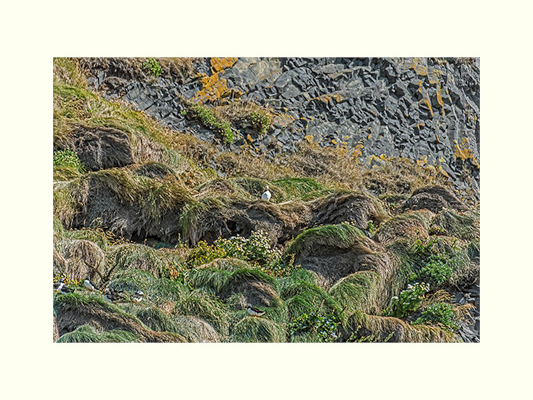 All Images By Ron MacDonnell Roberts.  © 2023.  All Rights Reserved.