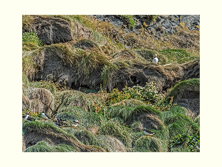 All Images By Ron MacDonnell Roberts.  © 2023.  All Rights Reserved.