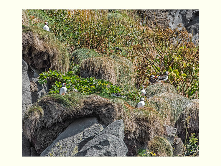 All Images By Ron MacDonnell Roberts.  © 2023.  All Rights Reserved.
