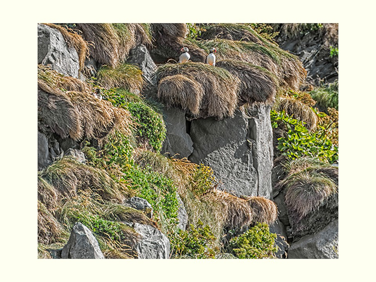 All Images By Ron MacDonnell Roberts.  © 2023.  All Rights Reserved.