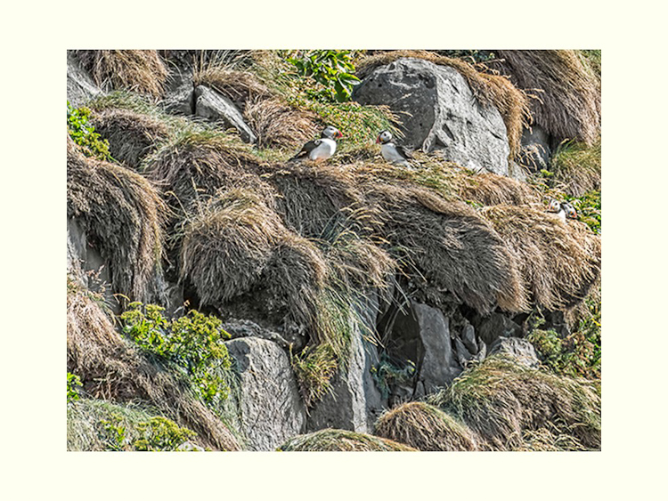 All Images By Ron MacDonnell Roberts.  © 2023.  All Rights Reserved.