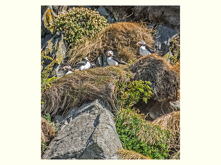 All Images By Ron MacDonnell Roberts.  © 2023.  All Rights Reserved.